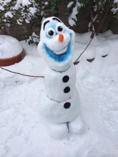 olaf-1