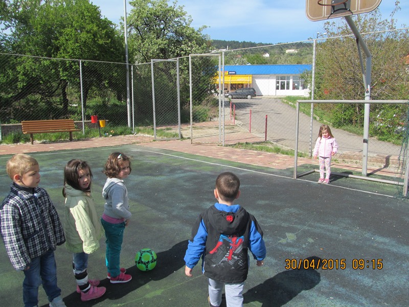 detelina podgotovka 09