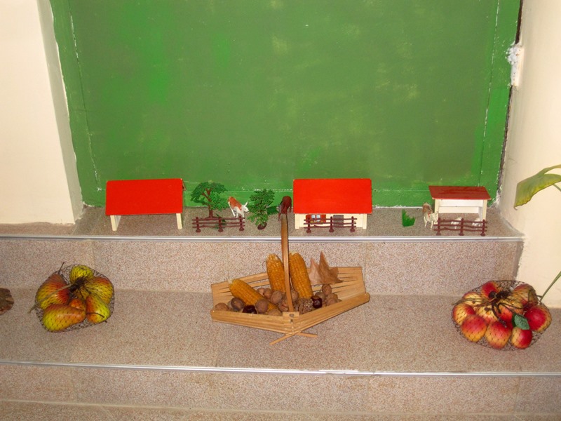 svetulka podgotovka 16