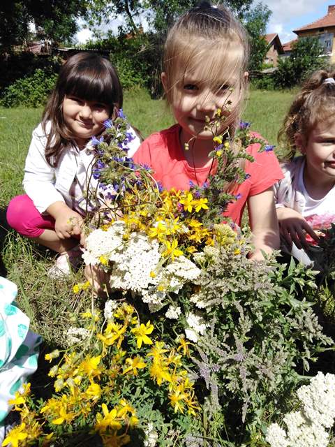 letno-raznoobrazie-09