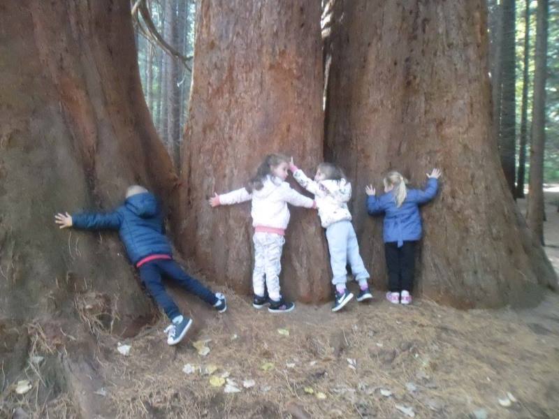 2017-10-weselo-igraem 06