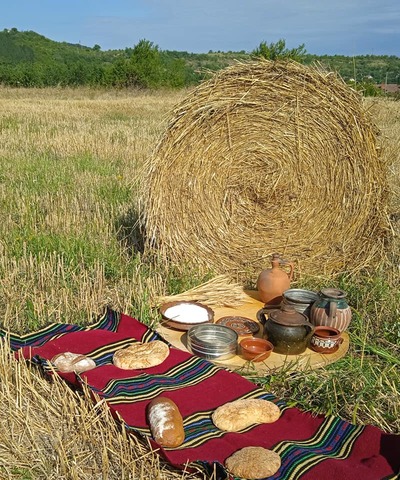 367708512 768120628646340 2407351308260742737 n