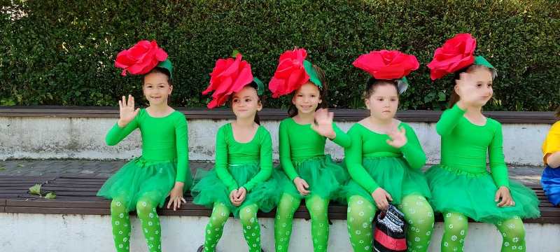 karnaval-25