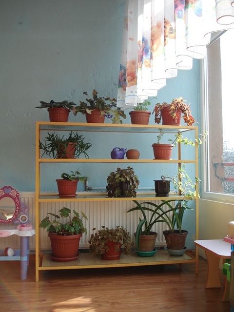 odz slantse 2014-02 008