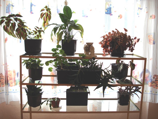 odz slantse 2014-02 034